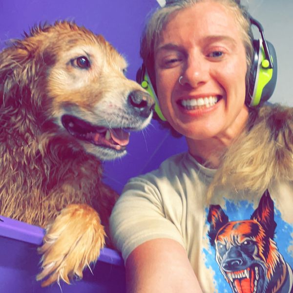 Dog Grooming South Hill Grooming Puyallup, Washington