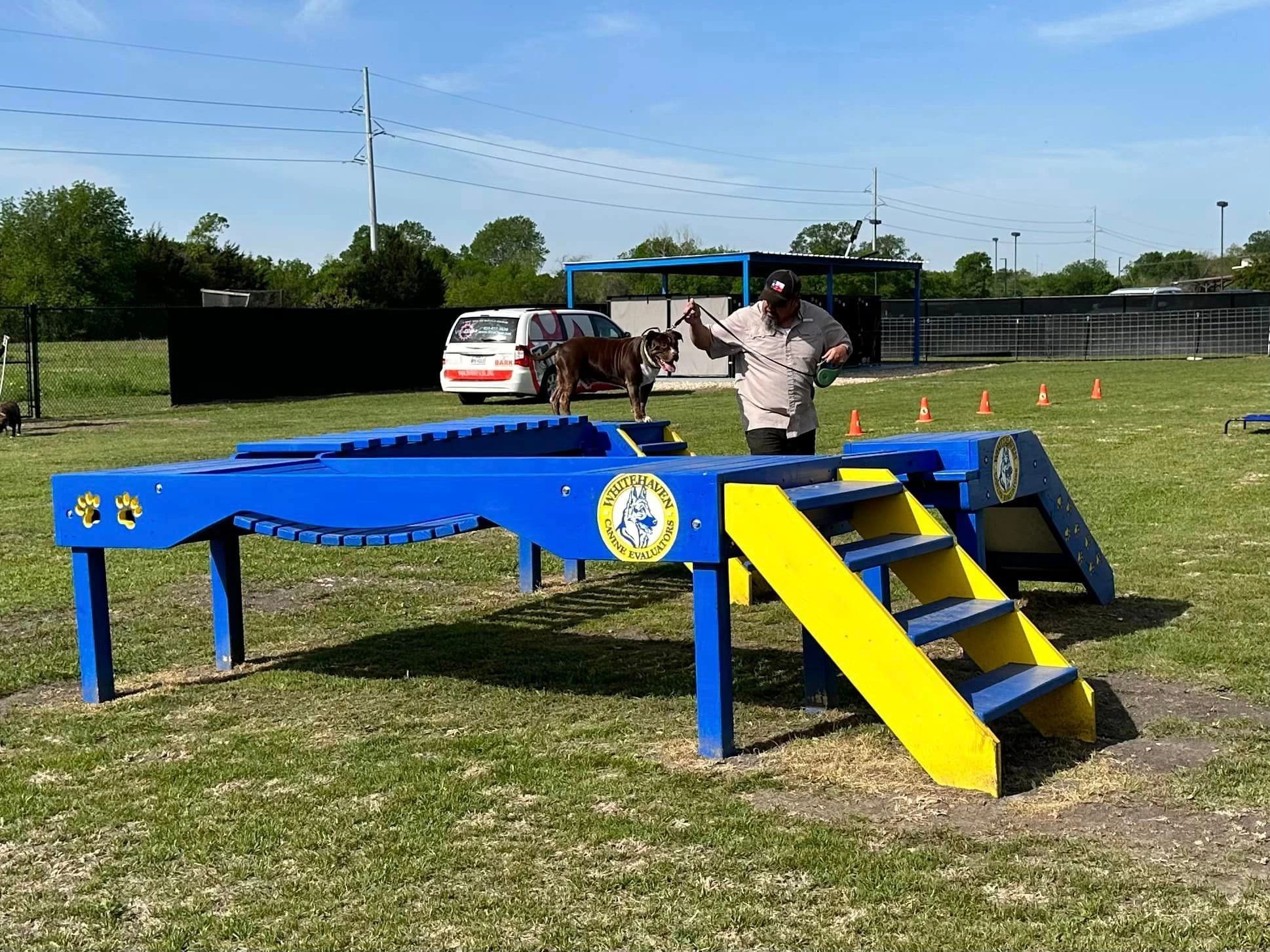 Dog Behaviorist, Evaluations for AKC & Bright & Beautiful Therapy Dogs