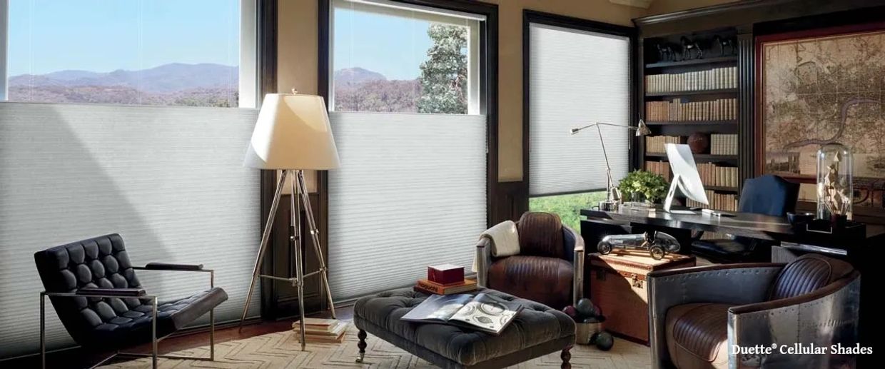 Duette® Cellular Shades in the Den.