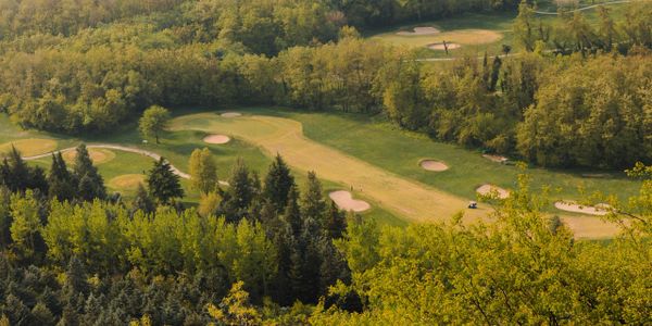A serene golf course surrounded by dense forest under warm sunlight.