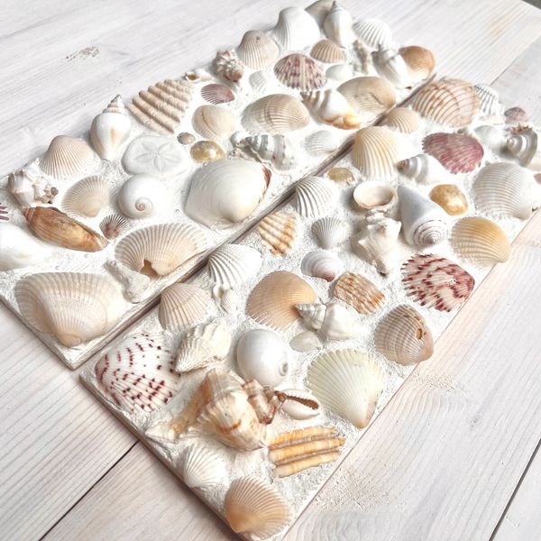 Seashell tile, decorative tile, shell decotile