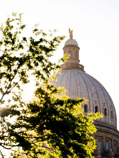 Idaho State Capital building with a tree in foreground at sunrise.