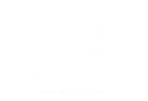 Quarter Horse Energy LLC