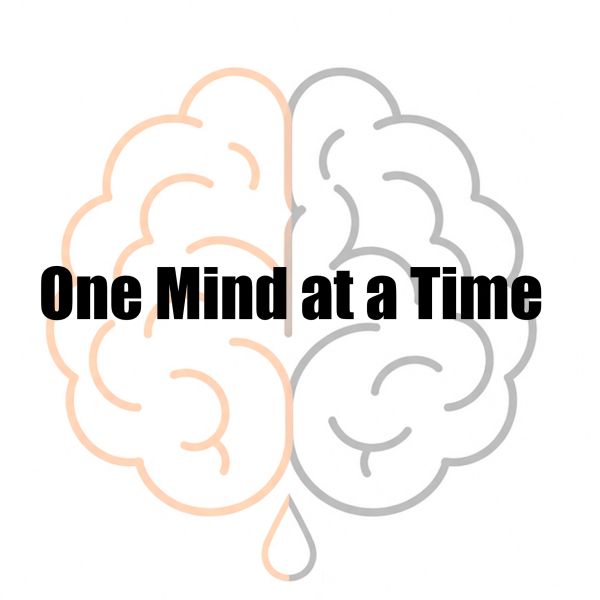 One Mind at a Time text over a half orange, half gray brain.