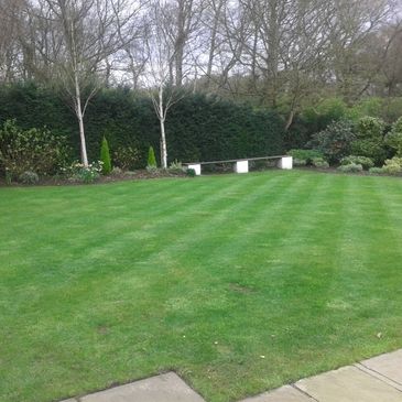 Well maintained garden