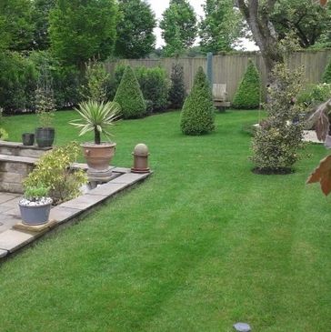Garden landscaping with shrub and hedge planting