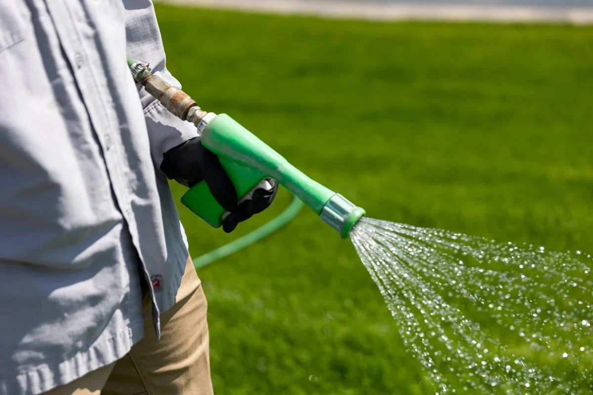 Dentsville Lawn Care Services | Weed Control, Fertilization & Landscaping