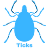 Tick