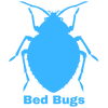 Bed Bug