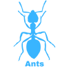 Ant