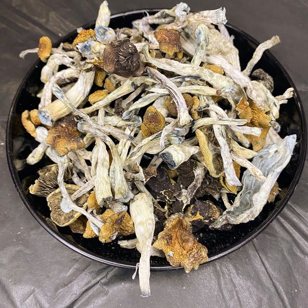 FollowTheGreenParrot.ca
QuadCityTO Mushrooms Co.
Same Day Shrooms Delivery Toronto
shroomsdelivery