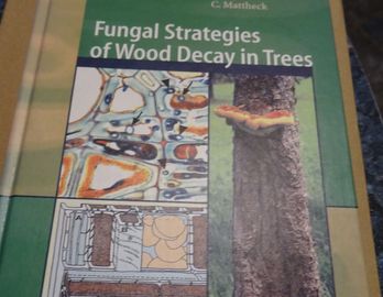 Fungal Strategies of Wood Decay in Trees. As new, unused. A1, pristine condition.