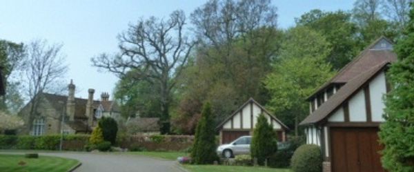 Arboriculturalist Derby | Tree Report Derby | Tree Survey Derby | BS 5837 Derby | Tree Report Derby | Homebuyers Report Trees | Tree Survey Derby | Mortgage Report