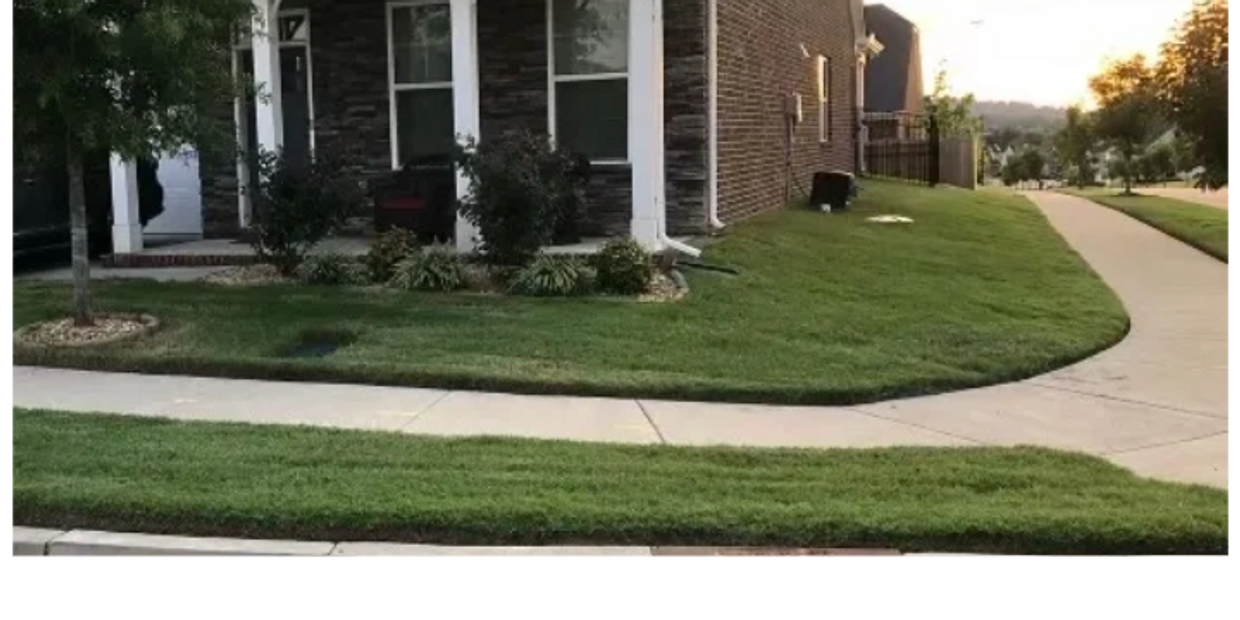 freshly cut grass