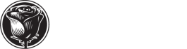 blackrosespain.com