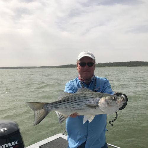 T C Fishing Guide Service Fishing Guide Belton Lake
