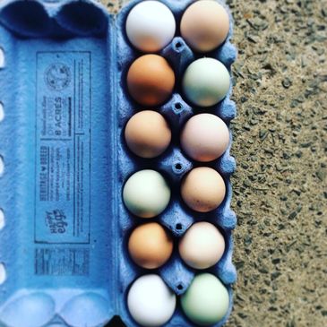 Farm Fresh Free Range Eggs
$5.00/dozen
Available in our self serve fridge on the porch. 
