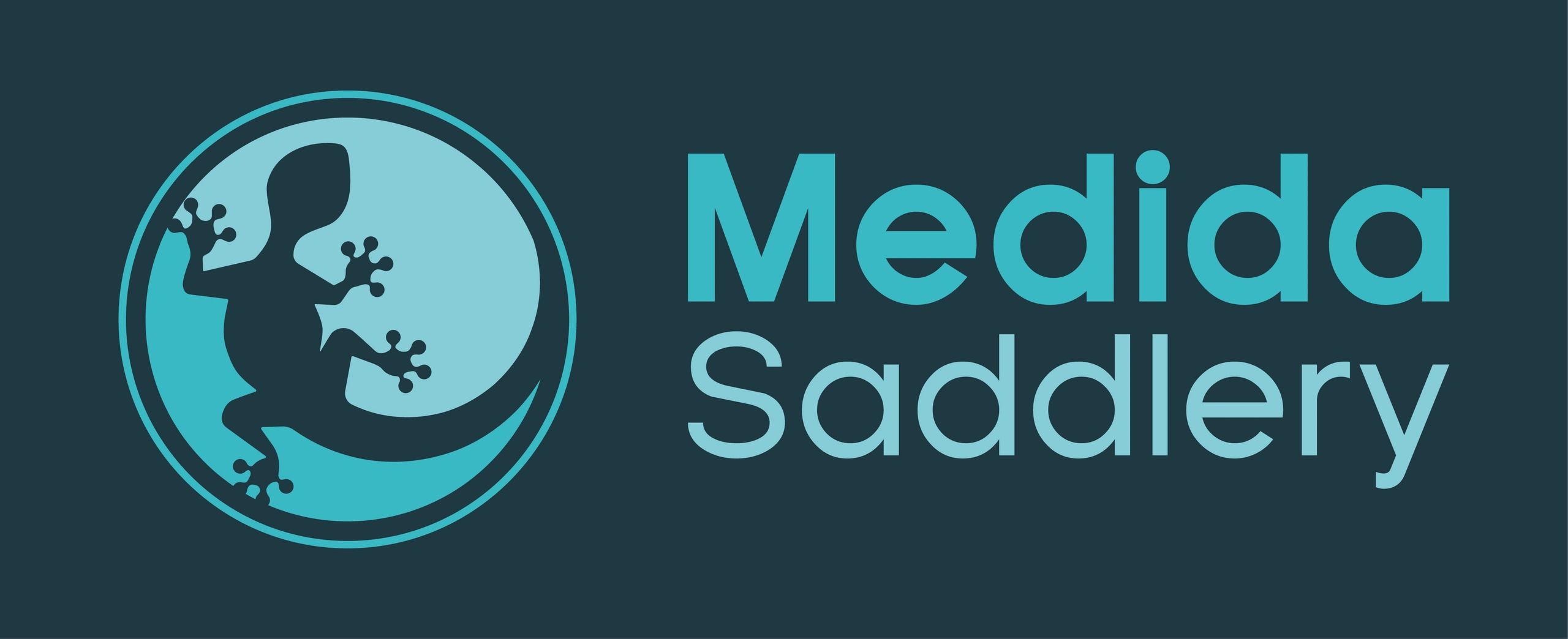 medida-saddlery-saddle-fitter-england