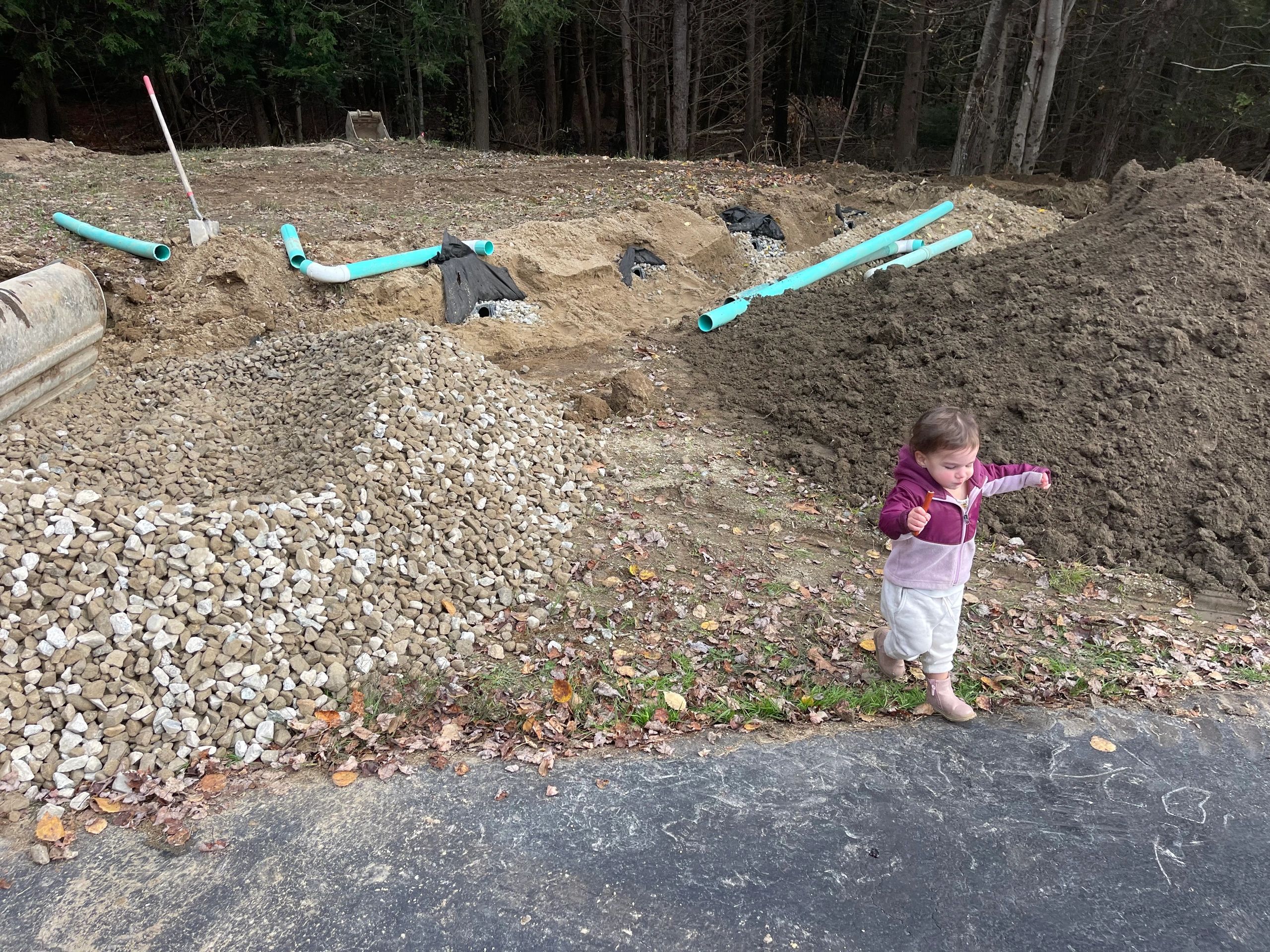 Scarlett is our cutest apprentice, overseeing septic system installation in Gorham ME :)