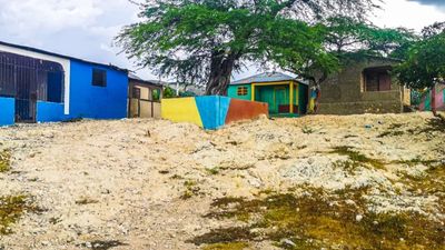 Colorful houses on a rocky hillside under a tree and blue sky.