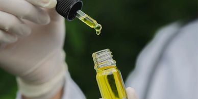 CannDelta Processor License Services 