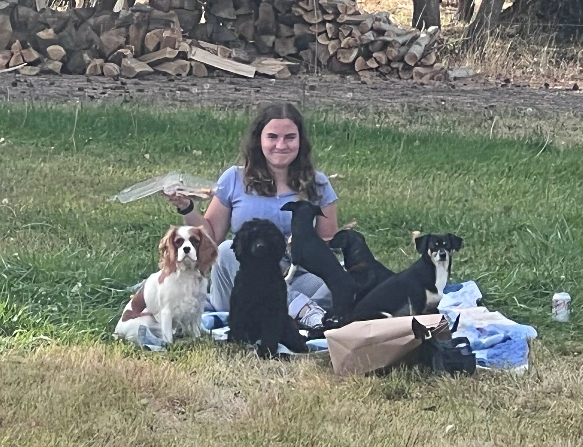 Just a picnic with the dogs!
