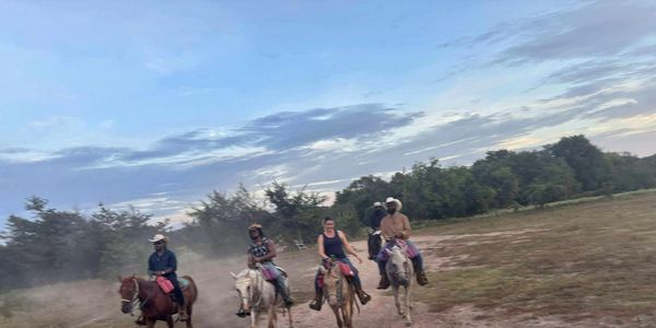 Group of Friend riders on white rescue horses enjoying 