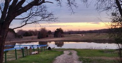 Sunset over a peaceful pond with a dirt path and bare trees.