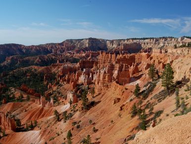 An ancient place with so many trees and rocks
