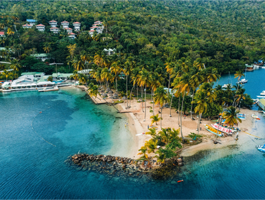 Top view of resort with so many trees