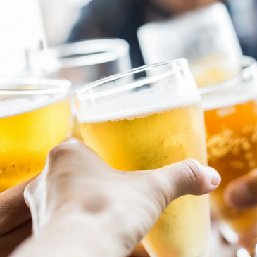 People clinking glasses of beer in a toast.