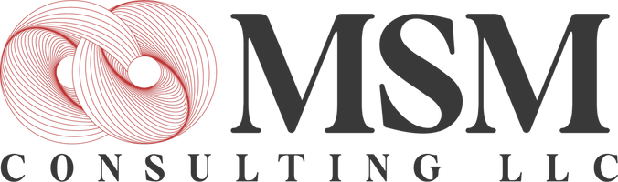  MSM Consulting LLC