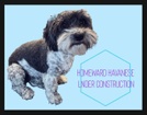 Homeward Havanese, LLC