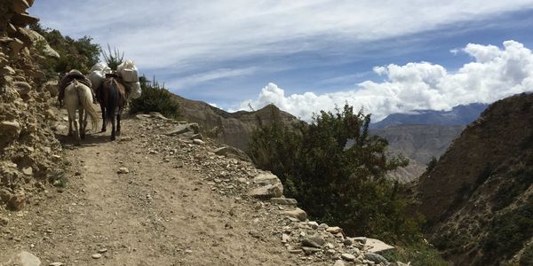 Get your copy of The Last Tibetan Kingdom here