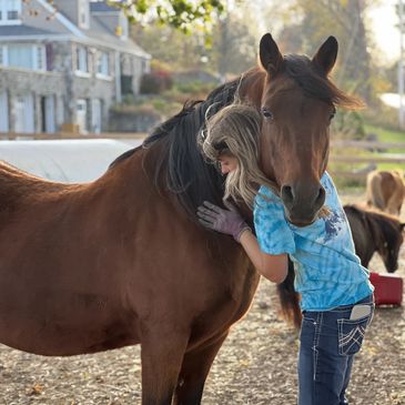 a horse