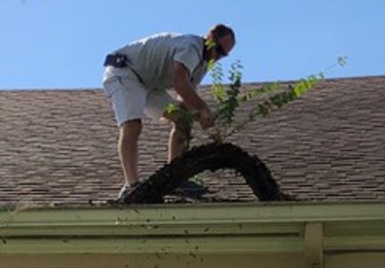 Gutter Cleaning