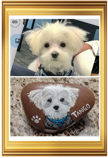 Painted rock, I'm a little white dog