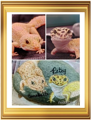 Painted rock of two geckos