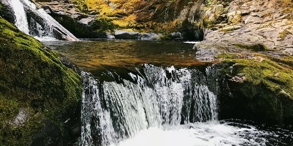 Transit intestinal fluide