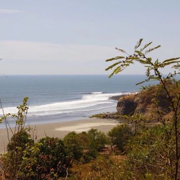 Ocean waves crashing near a rocky coastline with vegetation.