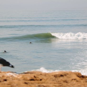 Surfers waiting for waves in calm sea.