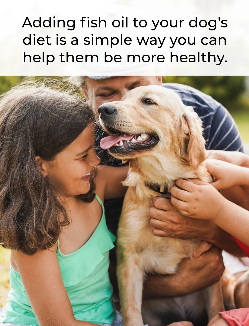 Fish oil added to your dog's diet can have all kinds of benefits.  There are a few considerations you need to be aware of before adding it, so talk to your vet. Most of the time, it's worth it.