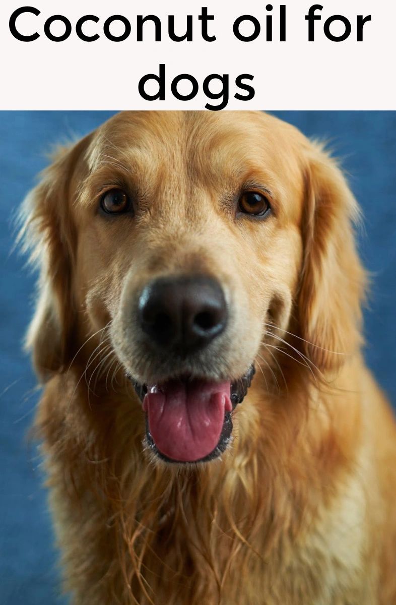 Who knew such a implementThingCouldBeSoHealthy?