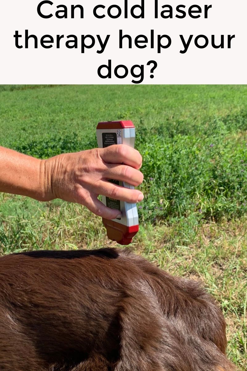 Cold lasers come in lots of sizes and price ranges, making them an affordable option for pain relief in many instances.