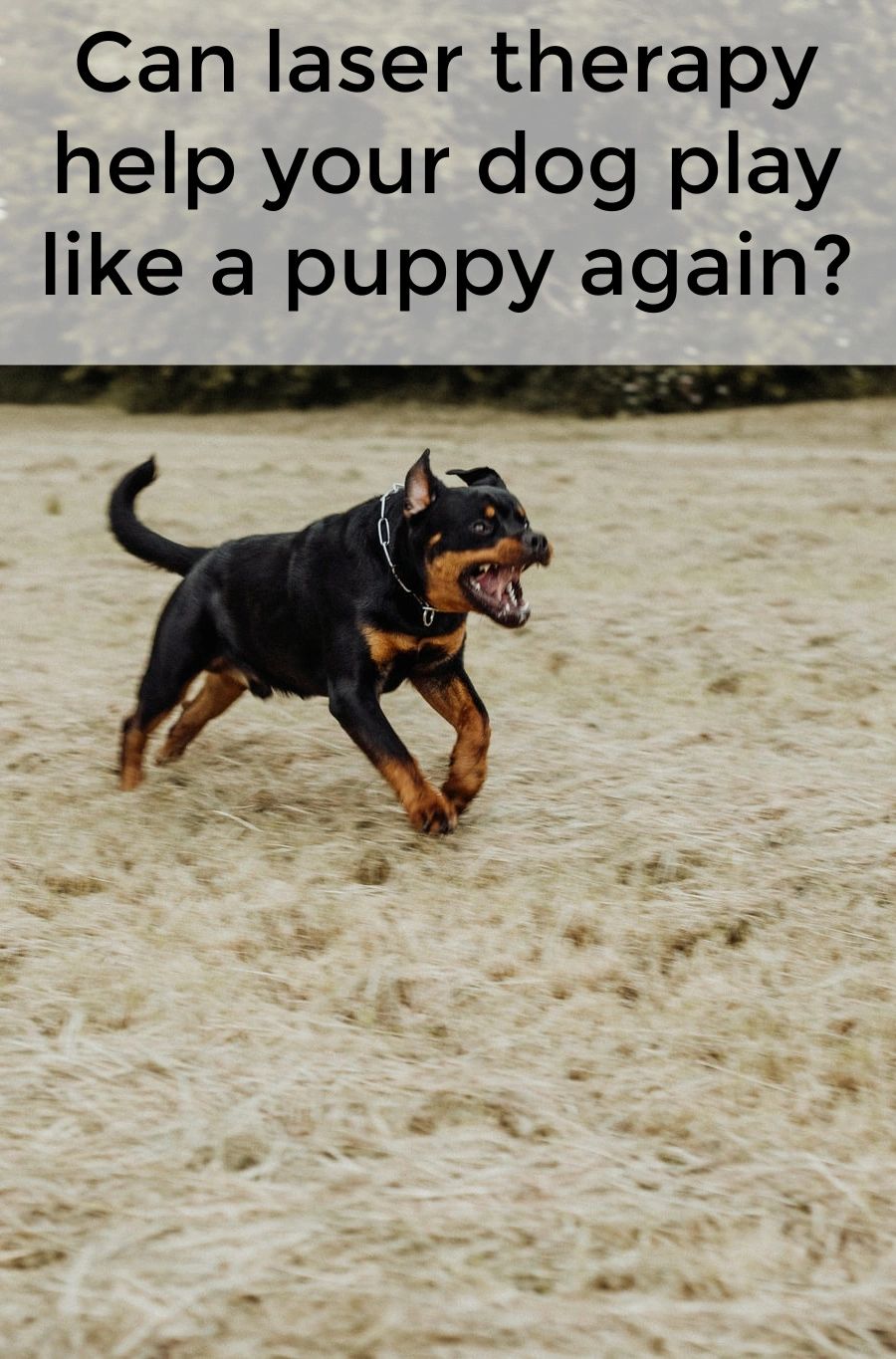 Cold lasers help relieve the pain of arthritis, ease the pain of injury and heal wounds.