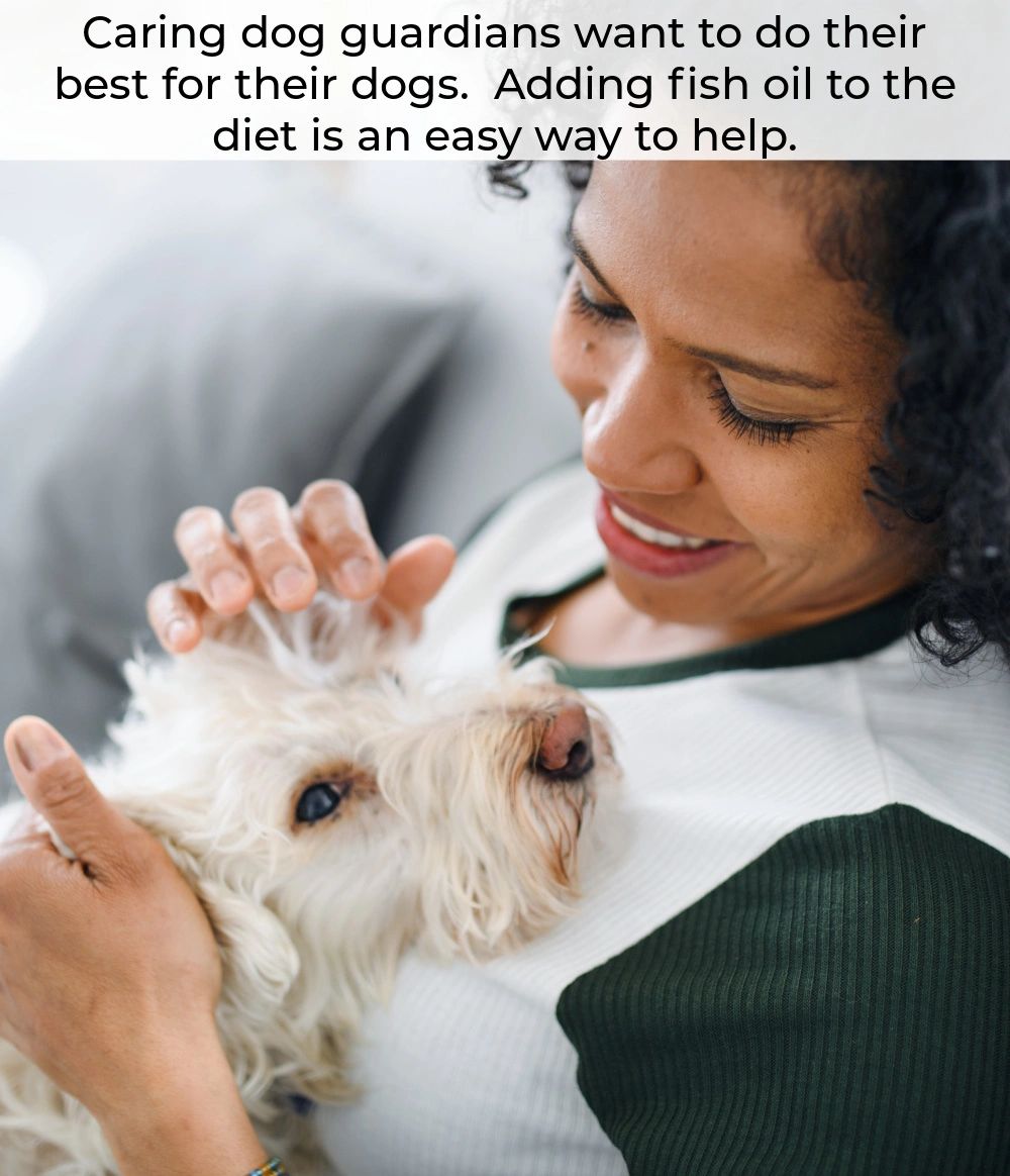 In most cases, adding fish oil to your dog's diet can help them in lots of ways. You do need to use a little caution, but the benefits generally outweigh the risks.