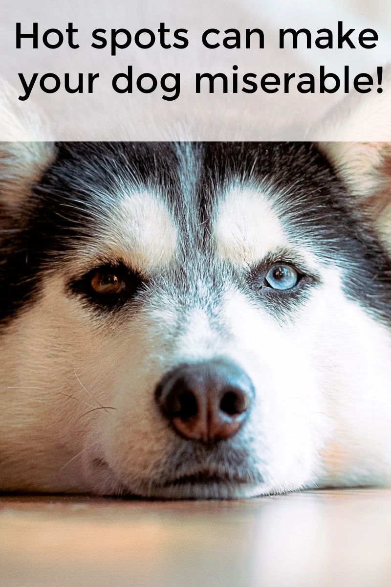 Hot spots hurt! Preventing them is even better than healing them after they start.