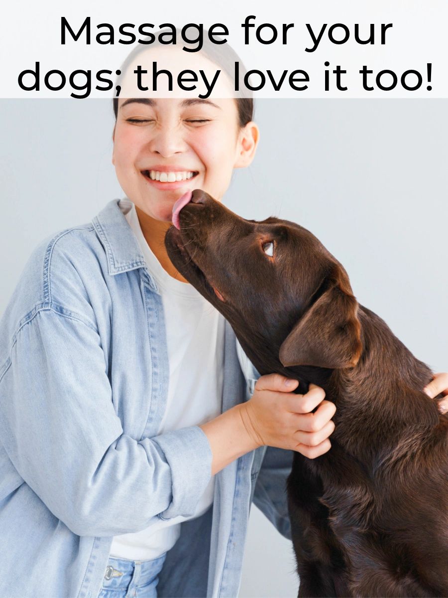 Dogs love massage for the same reasons we do; it feels good. Did you know it also has lots of health benefits?