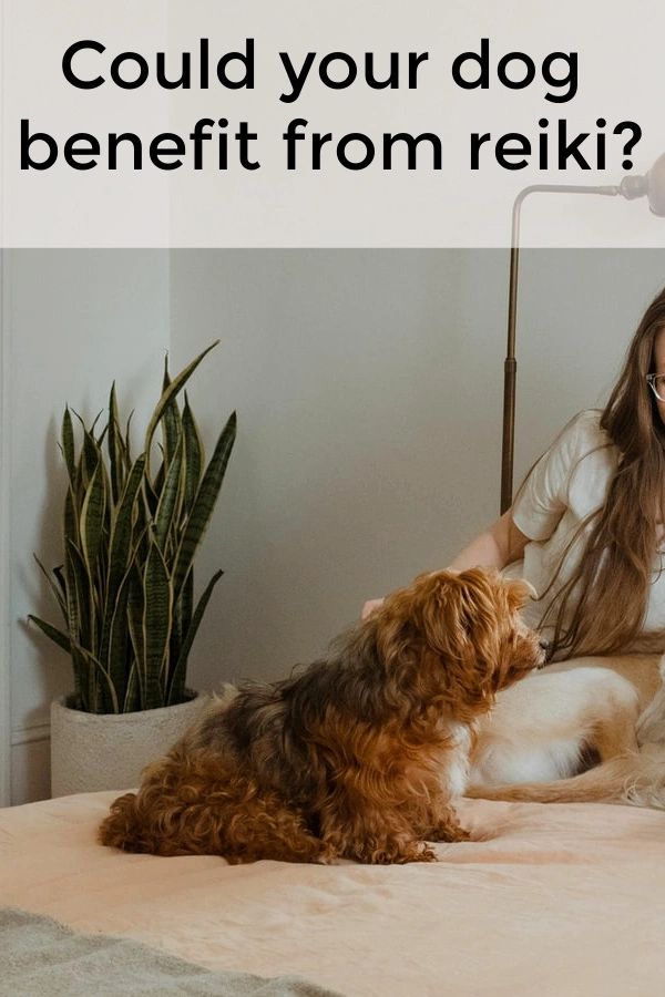 Reiki can help heal pain, reduce anxiety and much more. Reiki can help heal pain, reduce anxiety and much more.