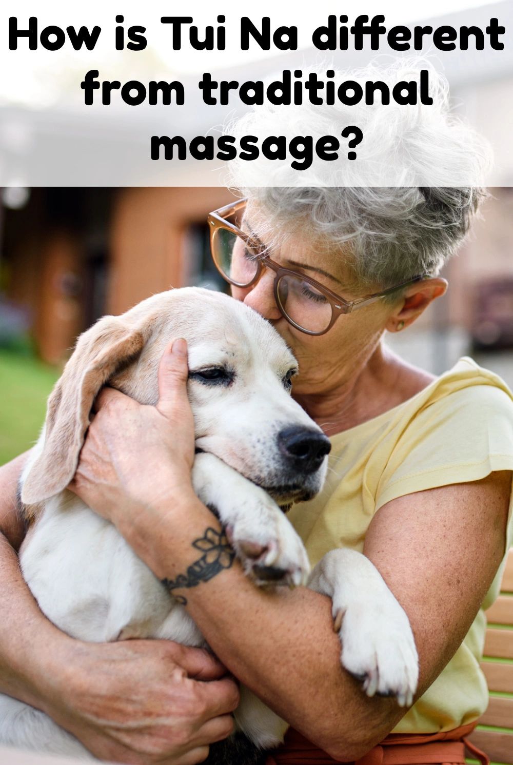While both types of massage have their benefits, Tui Na uses the principles of TCM to help your pet feel their best.
